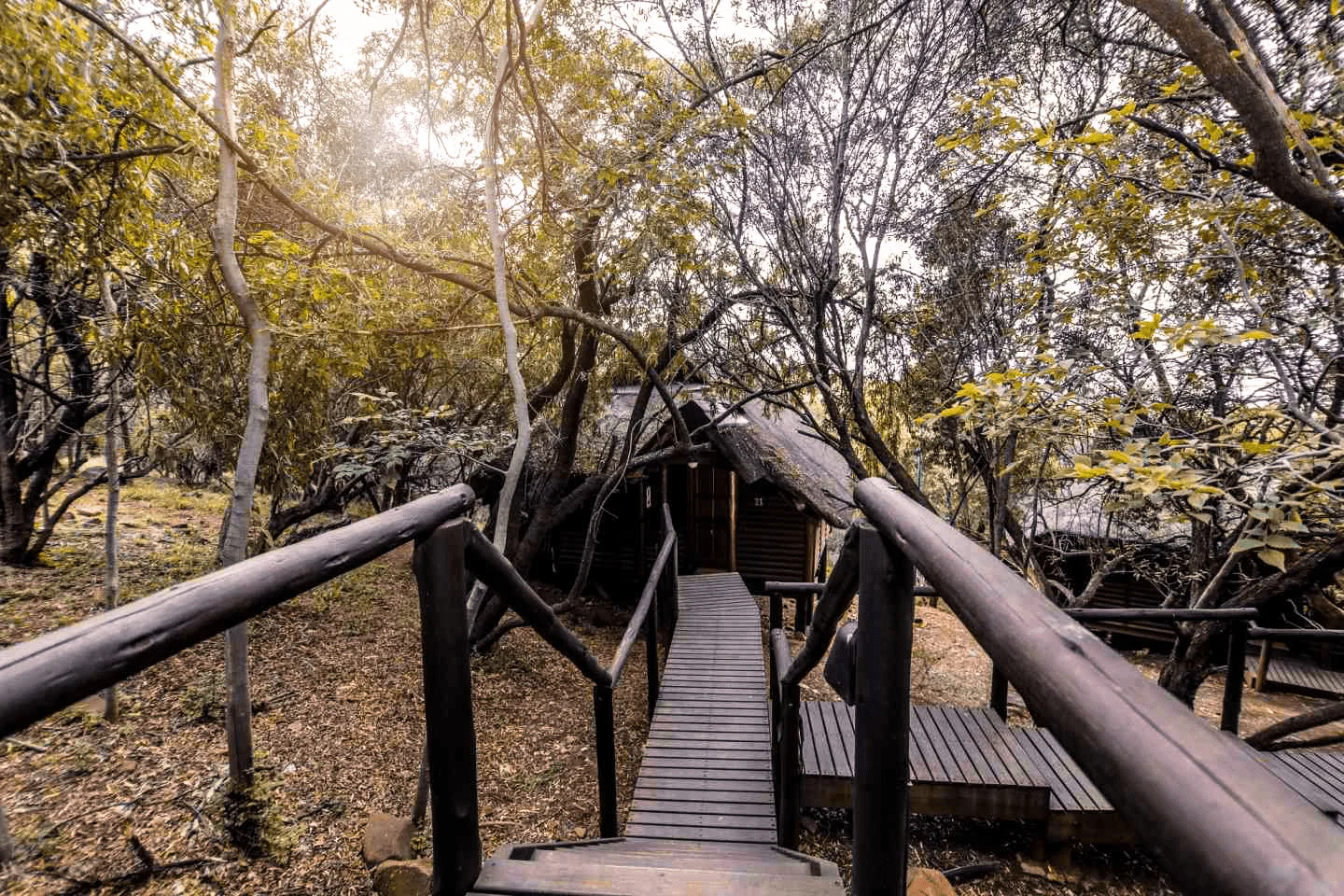 Wooden walkway to lodge accommodation